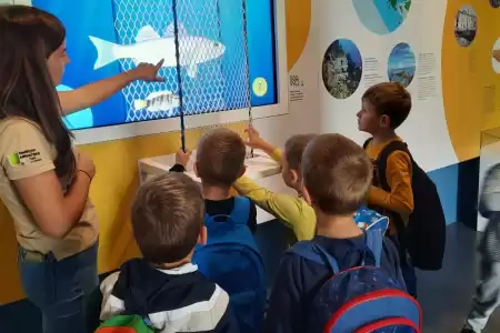 Bildungsprogramme von Telašćica – für Kinder