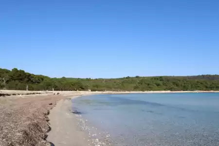 Posidonija na plaži Sakarun