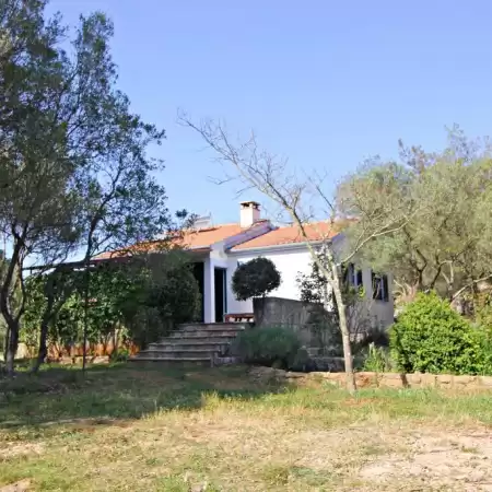 Casa Robinson  n. 99