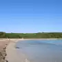 Posidonia on Sakarun beach