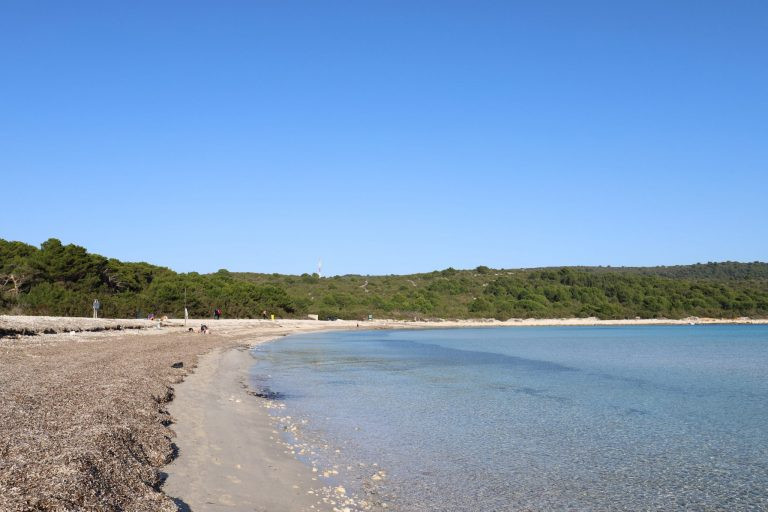 Posidonia sulla spiaggia di Sakarun